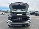 2025 Ford F-150 SuperCrew Cab 4WD Pickup for sale #C51781 - photo 42