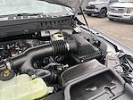 2025 Ford F-150 SuperCrew Cab 4WD Pickup for sale #C51781 - photo 48