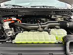 New 2025 Ford F-150 Platinum SuperCrew Cab for sale #C67609 - photo 27