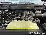 New 2025 Ford F-150 Tremor SuperCrew Cab for sale #C68359 - photo 23