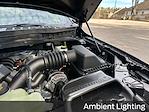 New 2025 Ford F-150 Tremor SuperCrew Cab for sale #C68359 - photo 26