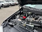 2025 Ford F-250 Crew Cab 4x4 Pickup for sale #C88296 - photo 22