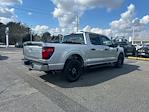 2025 Ford F-150 SuperCrew Cab 4x2 Pickup for sale #D03508 - photo 16