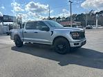 2025 Ford F-150 SuperCrew Cab 4x2 Pickup for sale #D03508 - photo 24