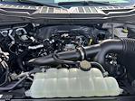 2025 Ford F-150 SuperCrew Cab 4x2 Pickup for sale #D03508 - photo 37