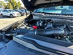 New 2026 Ford F-250 XL Crew Cab for sale #D06937 - photo 25