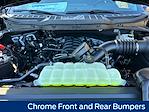New 2026 Ford F-150 XLT SuperCrew Cab for sale #D11383 - photo 20