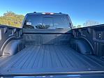 New 2026 Ford F-150 XLT SuperCrew Cab for sale #D11383 - photo 42