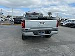 New 2025 Ford F-150 STX SuperCrew Cab 4x4 Pickup for sale #D13850 - photo 13