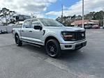 New 2025 Ford F-150 STX SuperCrew Cab 4x4 Pickup for sale #D13850 - photo 25