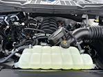 New 2025 Ford F-150 STX SuperCrew Cab 4x4 Pickup for sale #D13850 - photo 39