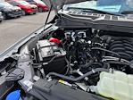 New 2025 Ford F-150 STX SuperCrew Cab 4x4 Pickup for sale #D13850 - photo 40