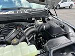New 2025 Ford F-150 STX SuperCrew Cab 4x4 Pickup for sale #D13850 - photo 41