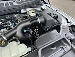 2025 Ford F-150 SuperCrew Cab 4x4 Pickup for sale #D14918 - photo 18