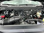 2025 Ford F-250 Crew Cab 4x4 Pickup for sale #D18165 - photo 19
