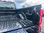 2025 Ford F-250 Crew Cab 4x4 Pickup for sale #D18165 - photo 38