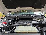 2023 Ford F-150 SuperCrew Cab 4WD Pickup for sale #D18897A - photo 26