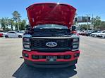 2025 Ford F-250 Crew Cab 4x4 Pickup for sale #D19081 - photo 18