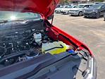 2025 Ford F-250 Crew Cab 4x4 Pickup for sale #D19081 - photo 21