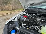 2026 Ford F-150 SuperCrew Cab RWD Pickup for sale #D20636 - photo 19