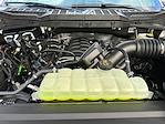 2026 Ford F-150 SuperCrew Cab 4WD Pickup for sale #D20681 - photo 21
