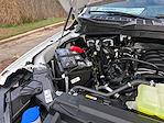 2026 Ford F-150 SuperCrew Cab 4WD Pickup for sale #D20681 - photo 23