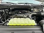 2026 Ford F-150 SuperCrew Cab RWD Pickup for sale #D20909 - photo 18