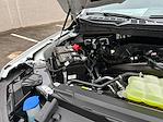 2026 Ford F-150 SuperCrew Cab RWD Pickup for sale #D20909 - photo 19