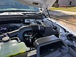New 2026 Ford F-150 STX SuperCrew Cab for sale #D21372 - photo 23