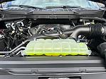 2026 Ford F-150 SuperCrew Cab RWD Pickup for sale #D21850 - photo 19
