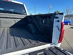 New 2026 Ford F-150 STX SuperCrew Cab for sale #D23049 - photo 42