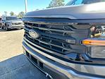 2025 Ford F-150 SuperCrew Cab 4x4 Pickup for sale #D40126 - photo 10