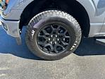 2025 Ford F-150 SuperCrew Cab 4x4 Pickup for sale #D40126 - photo 11