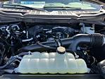 2025 Ford F-150 SuperCrew Cab 4x4 Pickup for sale #D40126 - photo 16