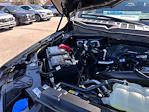 2025 Ford F-150 SuperCrew Cab 4x4 Pickup for sale #D40126 - photo 17