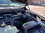 2025 Ford F-150 SuperCrew Cab 4x4 Pickup for sale #D40126 - photo 18