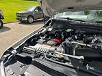 2025 Ford F-250 Crew Cab 4x4 Pickup for sale #D43077 - photo 21