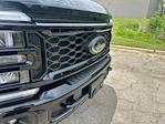 2025 Ford F-250 Crew Cab 4x4 Pickup for sale #D44421 - photo 10
