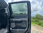 2025 Ford F-250 Crew Cab 4x4 Pickup for sale #D44421 - photo 28