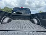 2025 Ford F-250 Crew Cab 4x4 Pickup for sale #D44421 - photo 36