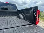 2025 Ford F-250 Crew Cab 4x4 Pickup for sale #D44421 - photo 38