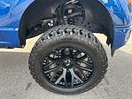 2024 Ford F-150 SuperCrew Cab 4WD Pickup for sale #D44761B - photo 11
