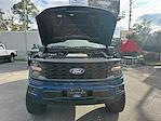 2024 Ford F-150 SuperCrew Cab 4WD Pickup for sale #D44761B - photo 18