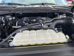 2024 Ford F-150 SuperCrew Cab 4WD Pickup for sale #D44761B - photo 19