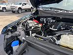 2024 Ford F-150 SuperCrew Cab 4WD Pickup for sale #D44761B - photo 20