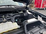 2024 Ford F-150 SuperCrew Cab 4WD Pickup for sale #D44761B - photo 21