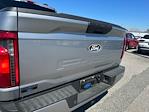 2025 Ford F-150 SuperCrew Cab 4x2 Pickup for sale #D51560 - photo 13