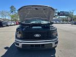 2025 Ford F-150 SuperCrew Cab 4x2 Pickup for sale #D51560 - photo 14