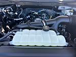 2025 Ford F-150 SuperCrew Cab 4x2 Pickup for sale #D51560 - photo 15