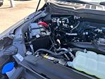 2025 Ford F-150 SuperCrew Cab 4x2 Pickup for sale #D51560 - photo 16